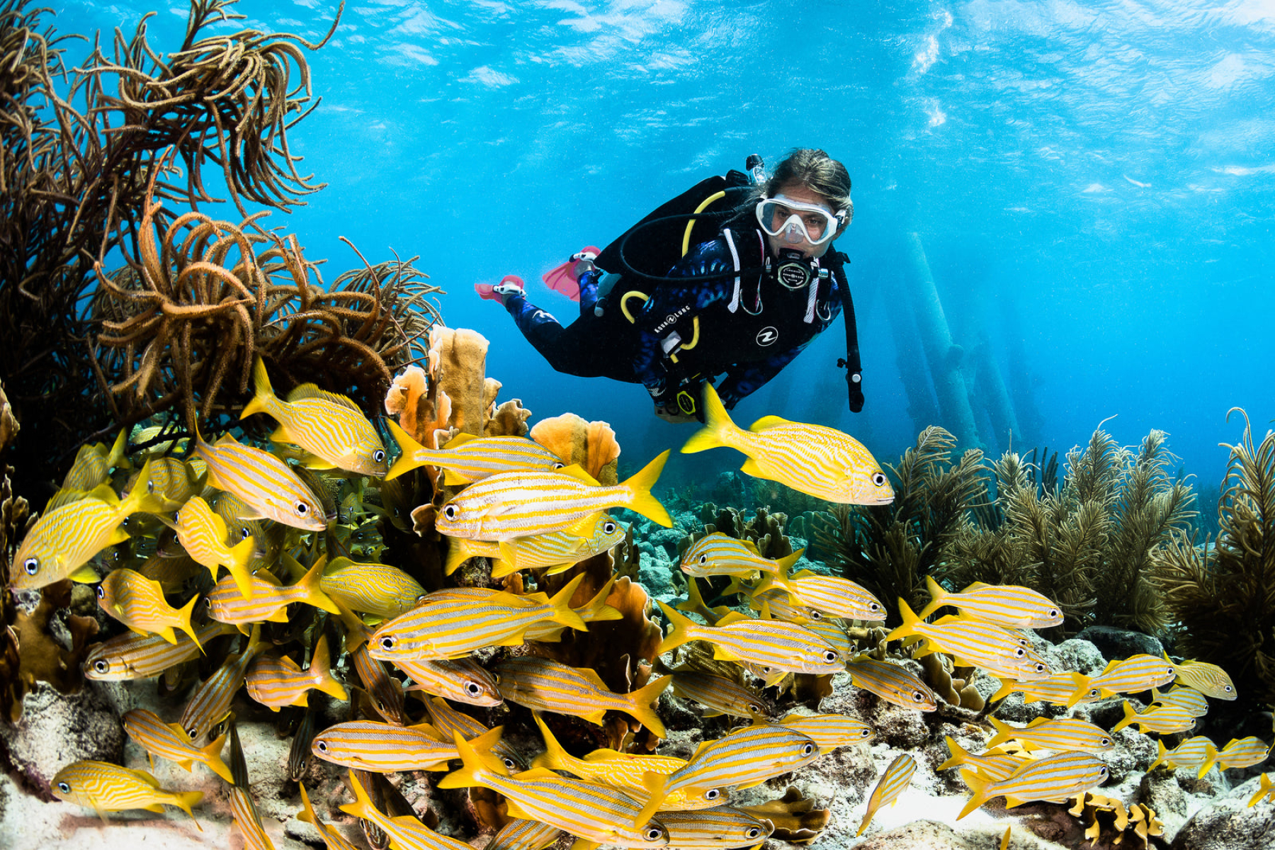 Maldives Diving & Underwater Luxury Resorts