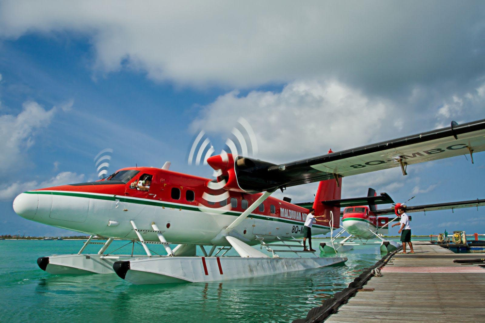 Seamless Paradise Transfers