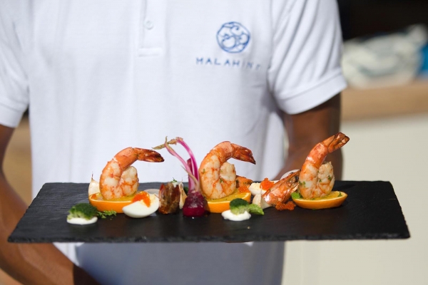 Malahini Kuda Bandos