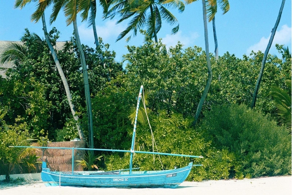 COMO Cocoa Island Resort Photo 6