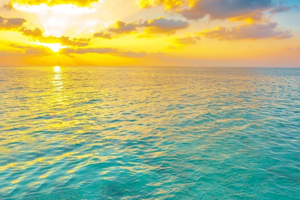 Dolphin Villa with Pool  ? Photo 3