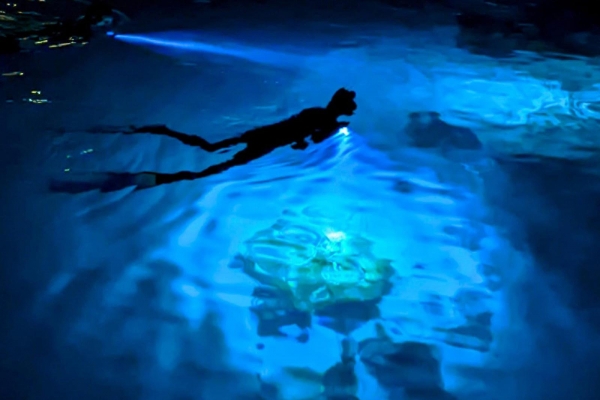 Four Seasons Landaa Giraavaru