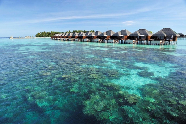 Ayada Maldives Resort Photo 3