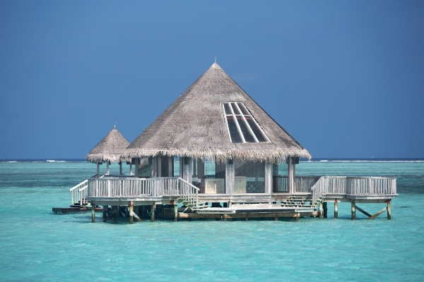 Gili Lankanfushi Resort Photo 5