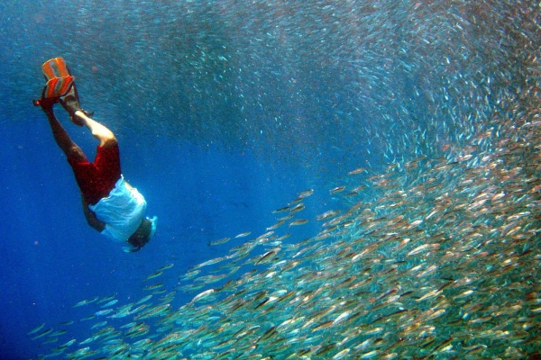 Park Hyatt Maldives Hadahaa