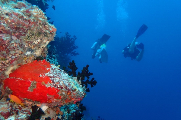 The Nautilus Maldives Resort Photo 3