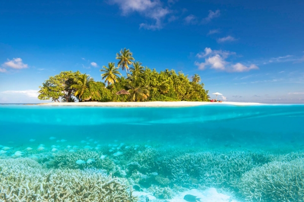 W Maldives Resort Photo 1