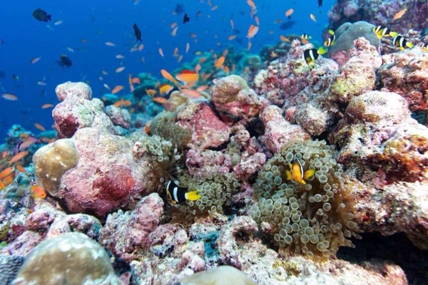 Kudadoo Maldives Private Island